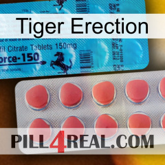 Tiger Erection new14